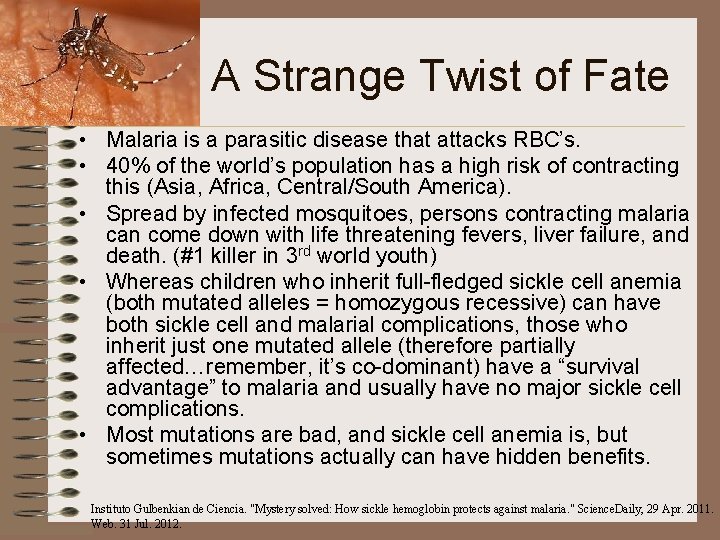 A Strange Twist of Fate • Malaria is a parasitic disease that attacks RBC’s.