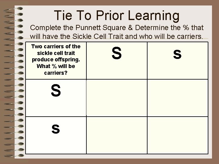 Tie To Prior Learning Complete the Punnett Square & Determine the % that will