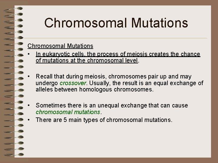 Chromosomal Mutations • In eukaryotic cells, the process of meiosis creates the chance of