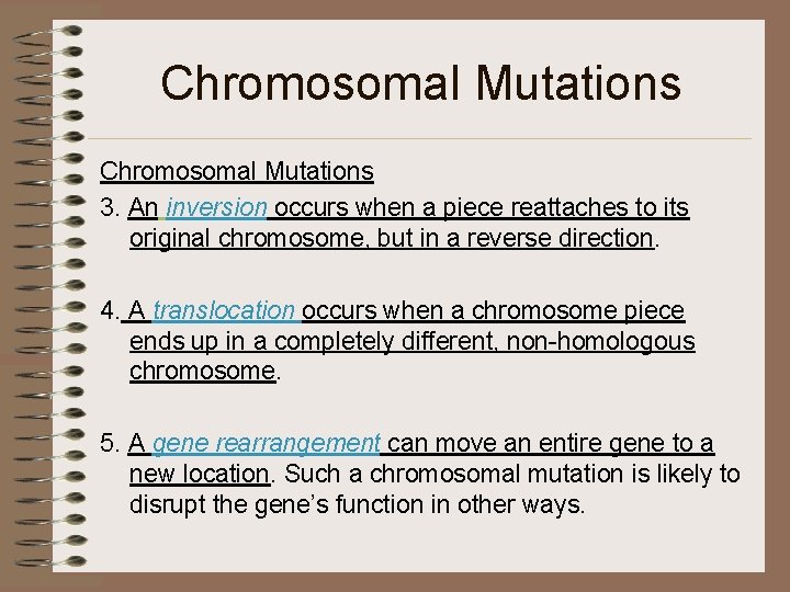 Chromosomal Mutations 3. An inversion occurs when a piece reattaches to its original chromosome,