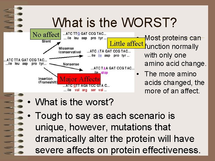 What is the WORST? No affect • Most proteins can Little affect function normally