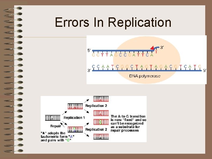 Errors In Replication 