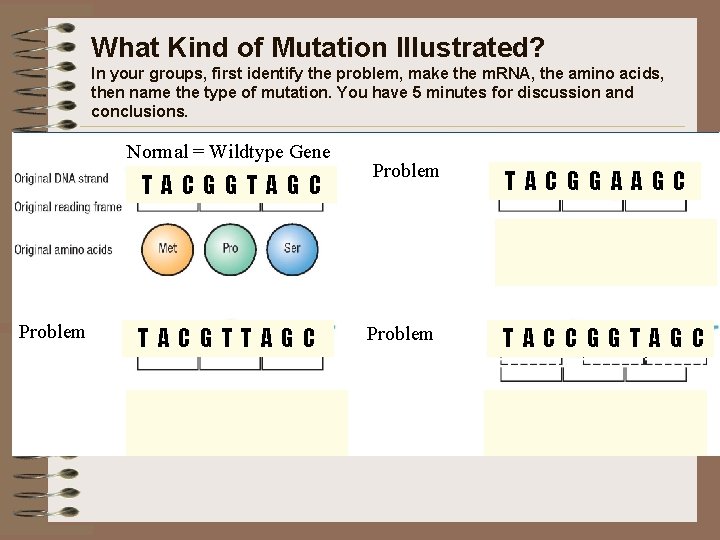 What Kind of Mutation Illustrated? In your groups, first identify the problem, make the