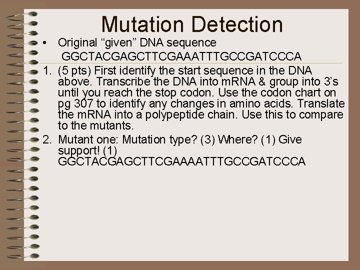 Mutation Detection • Original “given” DNA sequence GGCTACGAGCTTCGAAATTTGCCGATCCCA 1. (5 pts) First identify the