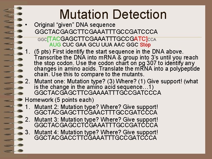  • Mutation Detection Original “given” DNA sequence GGCTACGAGCTTCGAAATTTGCCGATCCCA GGC[TACGAGCTTCGAAATTTGCCGATC]CCA AUG CUC GAA GCU