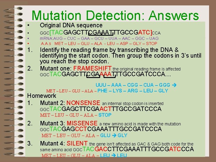  • Mutation Detection: Answers • • • 1. 2. Original DNA sequence GGC[TACGAGCTTCGAAATTTGCCGATC]CCA