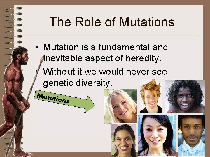 The Role of Mutations • Mutation is a fundamental and inevitable aspect of heredity.