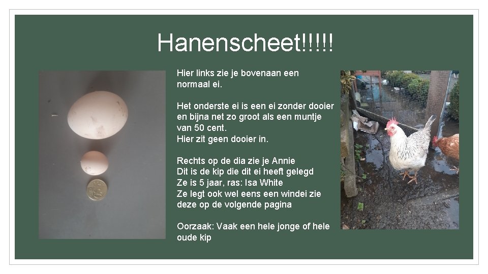 Hanenscheet!!!!! Hier links zie je bovenaan een normaal ei. Het onderste ei is een