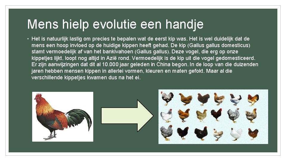 Mens hielp evolutie een handje • Het is natuurlijk lastig om precies te bepalen Mens hielp evolutie een handje • Het is natuurlijk lastig om precies te bepalen