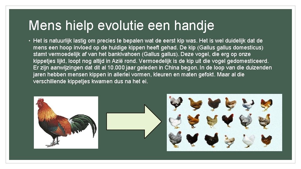 Mens hielp evolutie een handje • Het is natuurlijk lastig om precies te bepalen