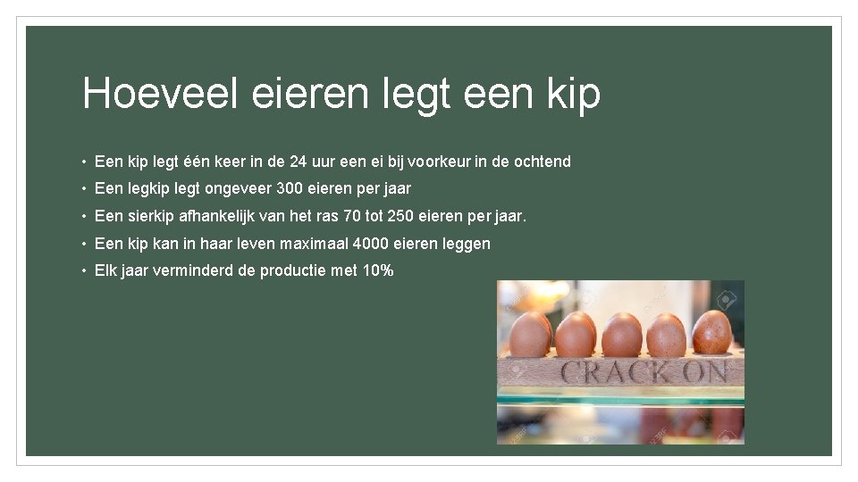 Hoeveel eieren legt een kip • Een kip legt één keer in de 24