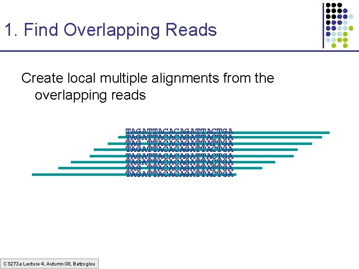 1. Find Overlapping Reads Create local multiple alignments from the overlapping reads TAGATTACACAGATTACTGA TAG