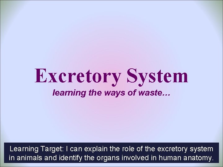 Excretory System learning the ways of waste… Learning Target: I can explain the role