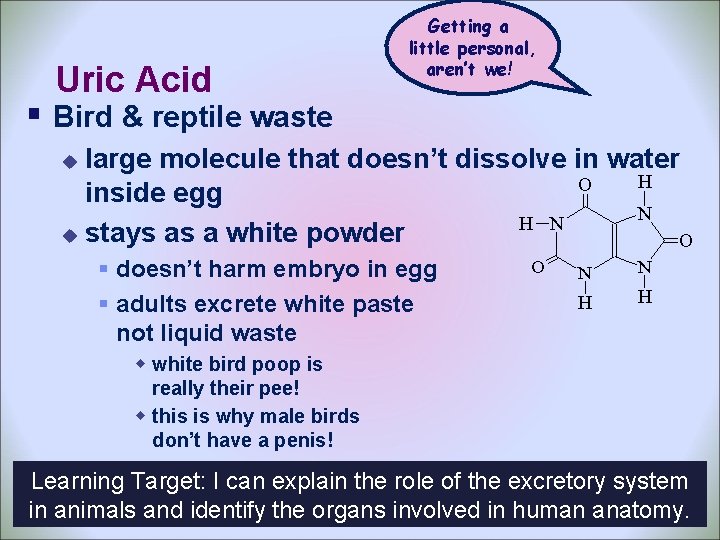 Uric Acid Getting a little personal, aren’t we! § Bird & reptile waste large