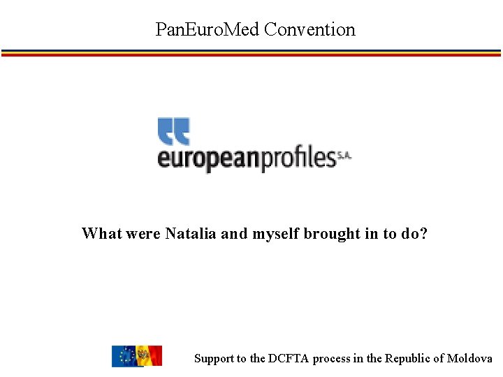 Pan. Euro. Med Convention What were Natalia and myself brought in to do? Support