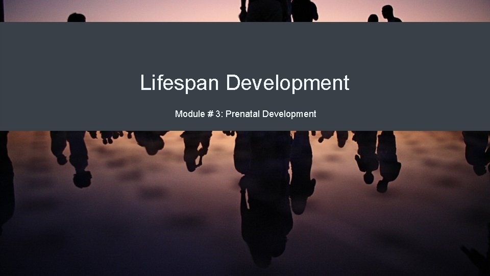 Lifespan Development Module # 3: Prenatal Development 