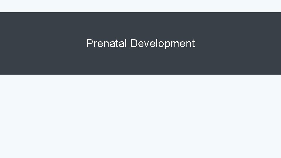 Prenatal Development 