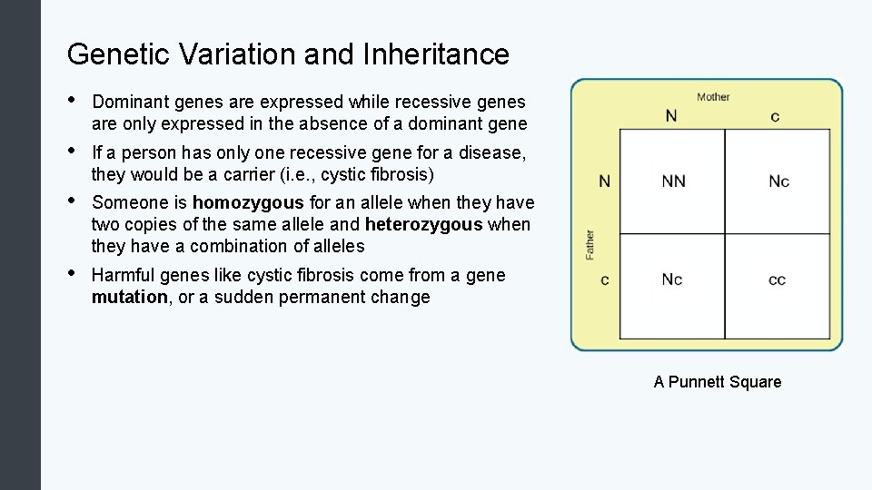 Genetic Variation and Inheritance • Dominant genes are expressed while recessive genes are only