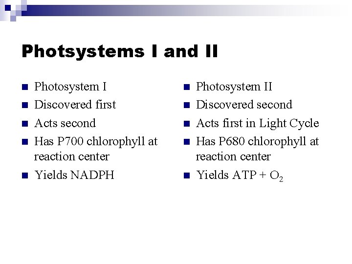 Photsystems I and II n n n Photosystem I Discovered first Acts second Has