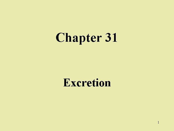 Chapter 31 Excretion 1 