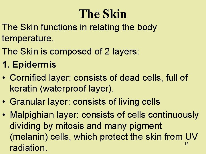 The Skin functions in relating the body temperature. The Skin is composed of 2