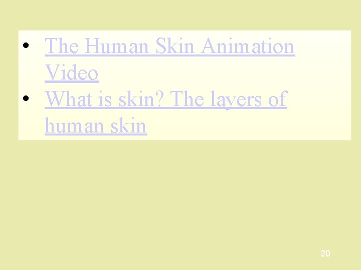  • The Human Skin Animation Video • What is skin? The layers of