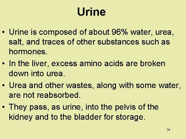 Urine • Urine is composed of about 96% water, urea, salt, and traces of