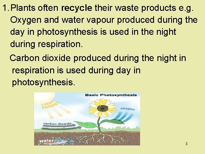 1. Plants often recycle their waste products e. g. Oxygen and water vapour produced