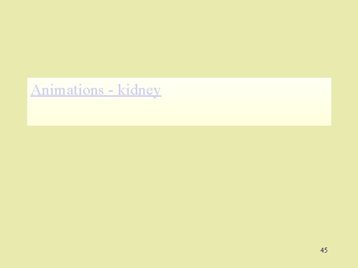 Animations - kidney 45 