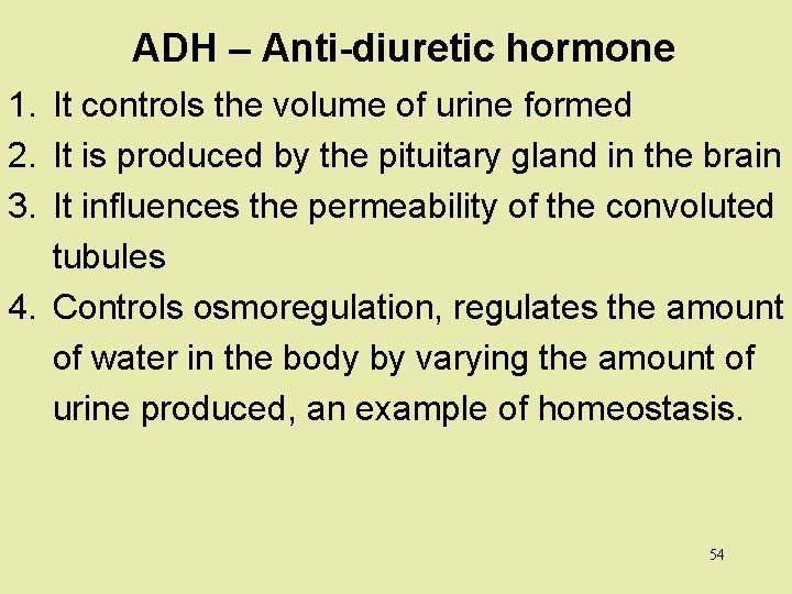 ADH – Anti-diuretic hormone 1. It controls the volume of urine formed 2. It