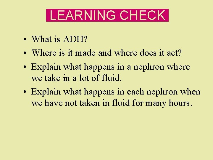 LEARNING CHECK • What is ADH? • Where is it made and where does