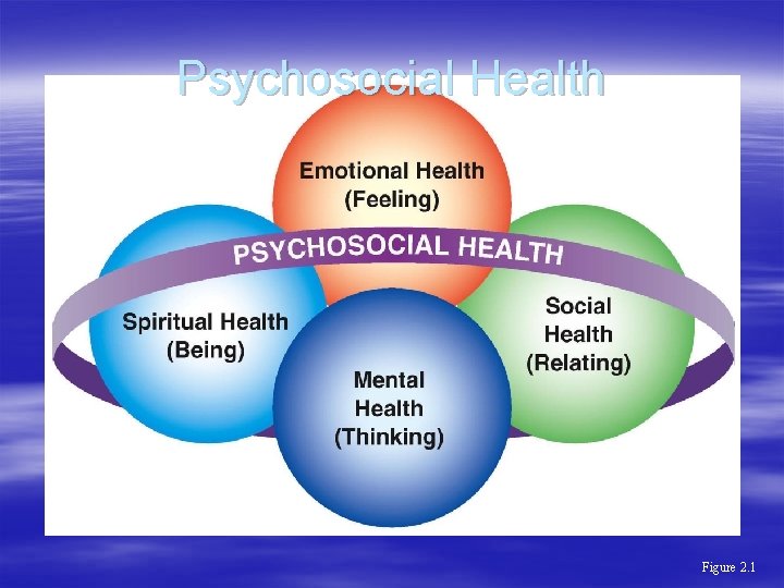 Psychosocial Health Figure 2. 1 