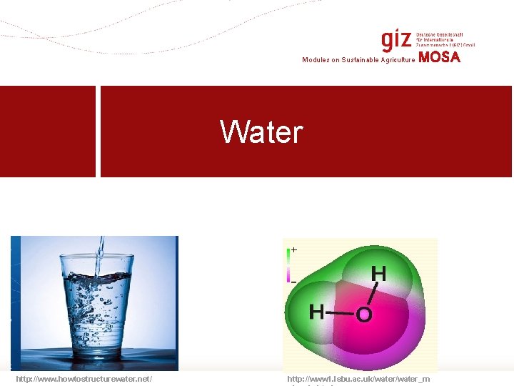 Modules on Sustainable Agriculture MOSA Water http: //www. howtostructurewater. net/ http: //www 1. lsbu.