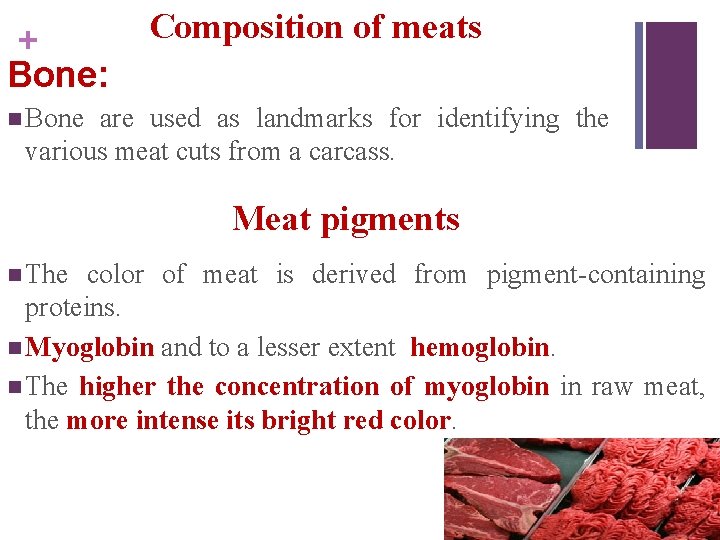 + Bone: Composition of meats n Bone are used as landmarks for identifying the