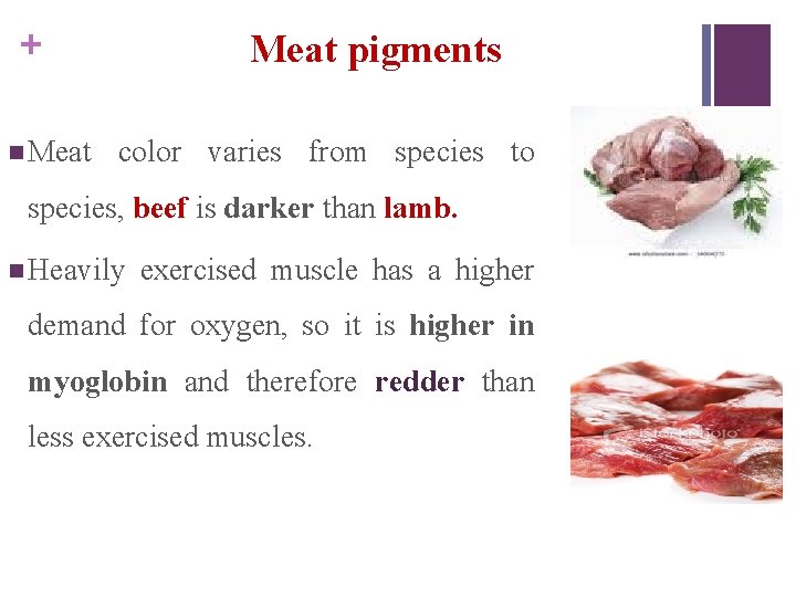 + n Meat pigments color varies from species to species, beef is darker than