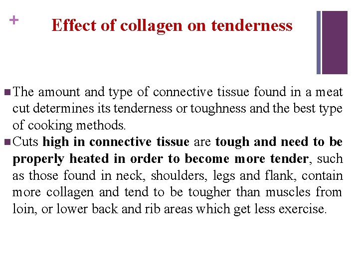 + n The Effect of collagen on tenderness amount and type of connective tissue