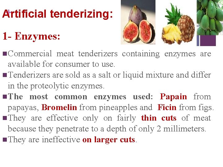 + Artificial tenderizing: 1 - Enzymes: n Commercial meat tenderizers containing enzymes are available