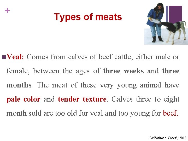 + n Veal: Types of meats Comes from calves of beef cattle, either male