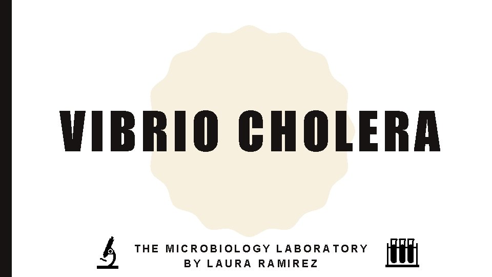 VIBRIO CHOLERA THE MICROBIOLOGY LABORATORY BY LAURA RAMIREZ 