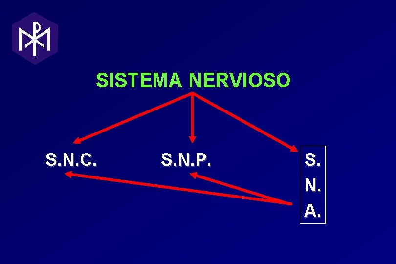 SISTEMA NERVIOSO S. N. C. S. N. P. S. N. A. SISTEMA NERVIOSO S. N. C. S. N. P. S. N. A.