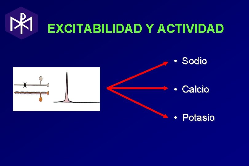 EXCITABILIDAD Y ACTIVIDAD • Sodio • Calcio • Potasio EXCITABILIDAD Y ACTIVIDAD • Sodio • Calcio • Potasio