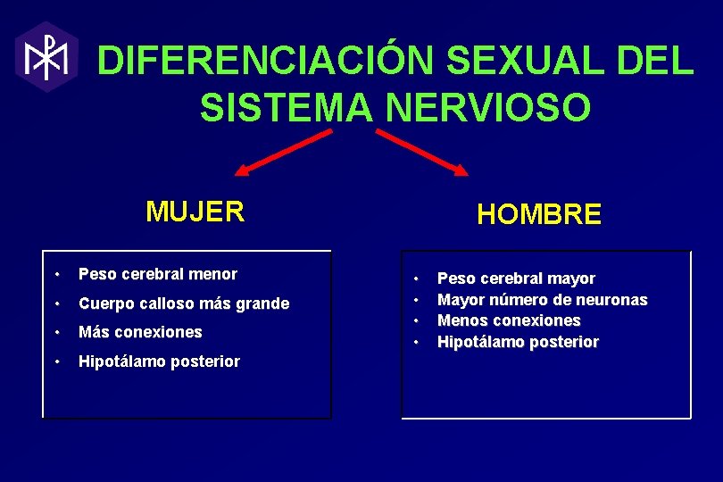 DIFERENCIACIÓN SEXUAL DEL SISTEMA NERVIOSO MUJER • Peso cerebral menor • Cuerpo calloso más DIFERENCIACIÓN SEXUAL DEL SISTEMA NERVIOSO MUJER • Peso cerebral menor • Cuerpo calloso más