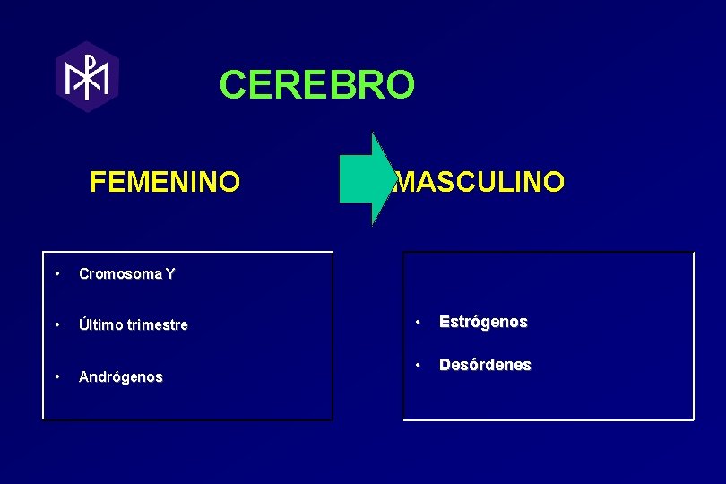 CEREBRO FEMENINO • Cromosoma Y • Último trimestre • Andrógenos MASCULINO • Estrógenos • CEREBRO FEMENINO • Cromosoma Y • Último trimestre • Andrógenos MASCULINO • Estrógenos •