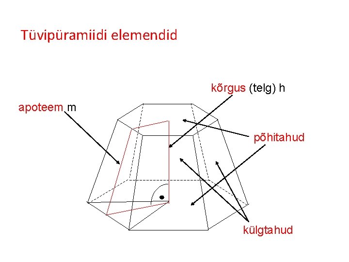 Tüvipüramiidi elemendid kõrgus (telg) h apoteem m põhitahud külgtahud 