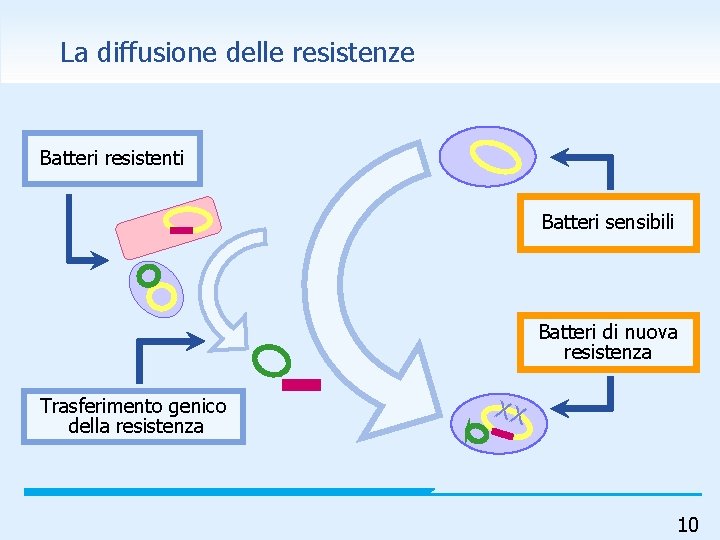 La diffusione delle resistenze Batteri resistenti Batteri sensibili Batteri di nuova resistenza Trasferimento genico