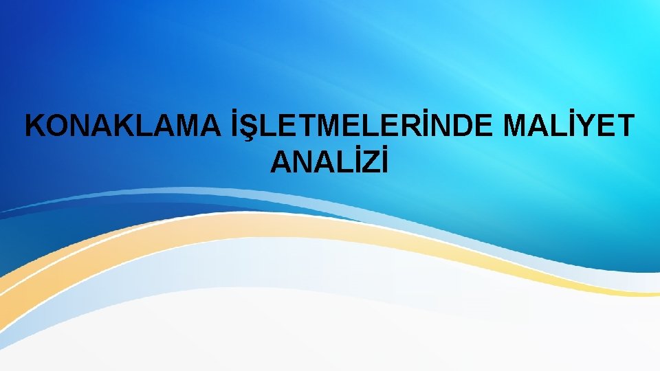 KONAKLAMA İŞLETMELERİNDE MALİYET ANALİZİ 