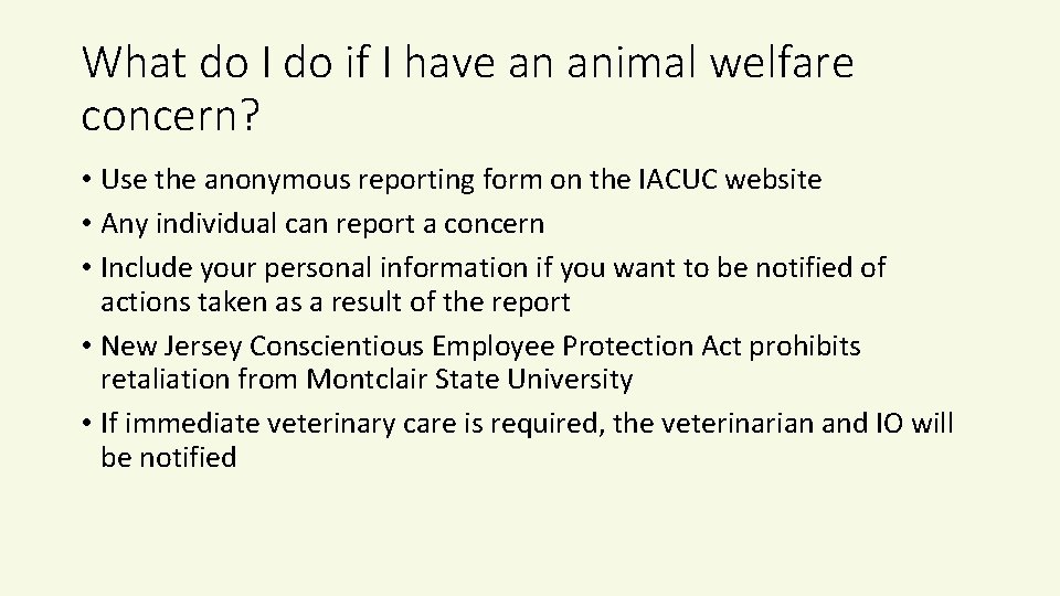 What do I do if I have an animal welfare concern? • Use the