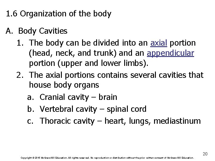 1. 6 Organization of the body A. Body Cavities 1. The body can be