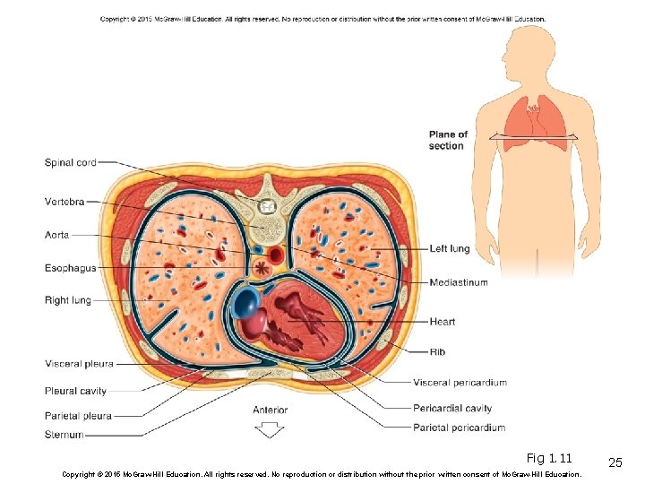 Fig 1. 11 Copyright © 2015 Mc. Graw-Hill Education. All rights reserved. No reproduction