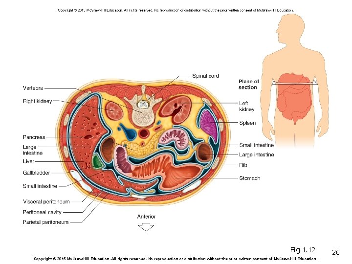 Fig 1. 12 Copyright © 2015 Mc. Graw-Hill Education. All rights reserved. No reproduction